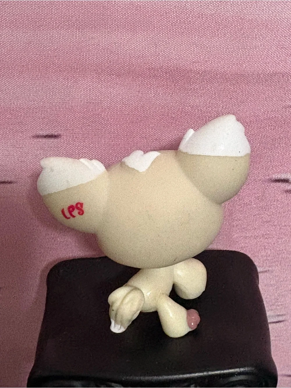 Littlest Pet Shop adorable cream